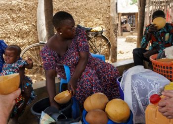 Atelier National de Concertation pour la Révision de la Stratégie Régionale d&rsquo;Inclusion Financière au Togo