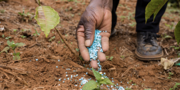 Burkina Faso : Un Projet de 15 Milliards FCFA pour Booster la Production d’Engrais Minéraux et la Sécurité Alimentaire
