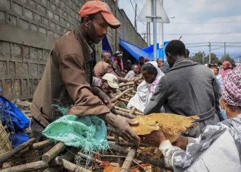 Éthiopie : Chute des Prix et Taux de Change Flexible