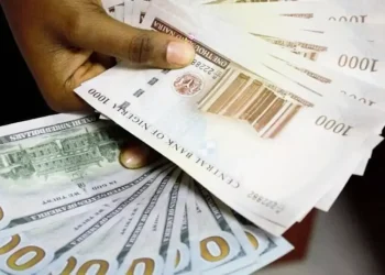 CBN : Les Entrées Nettes de Devises du Nigeria Atteignent 25,4 Milliards de Dollars en Six Mois