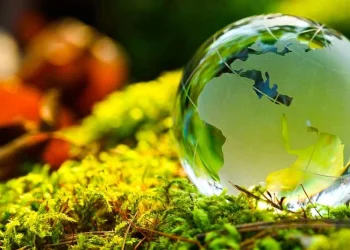 Les banques des marchés émergents n’investissent guère dans la finance climatique, selon la Banque Mondiale