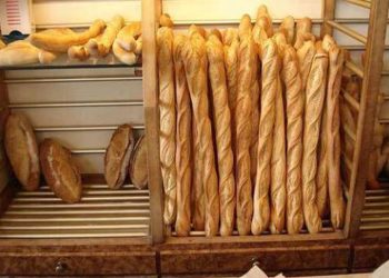 Sénégal : Les boulangers plaident pour l&rsquo;introduction des céréales locales dans la production du pain