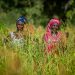 Guinée, Sénégal, Togo : La BAD Alloue 103 Millions USD pour Soutenir l&rsquo;Agriculture Durable