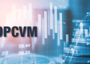 CEMAC : Les OPCVM réalisent des performances variées au T2 2024