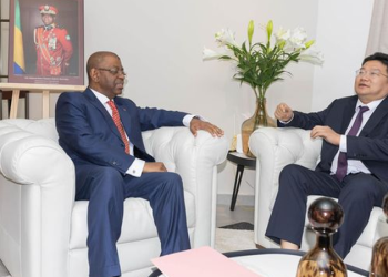 Gabon : La Chine S&rsquo;Engage à Investir 2,5 Milliards USD dans Deux Centrales Électriques