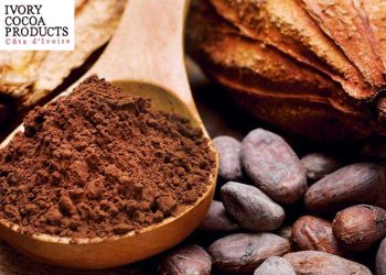 La BOAD accorde 25 millions $ à Ivory Cocoa Product pour la campagne 2024-2025