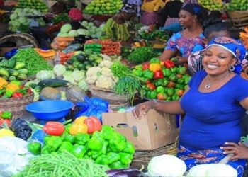 Côte d&rsquo;Ivoire : Stabilité des prix pour l’oignon et la viande, baisse pour le piment et la banane