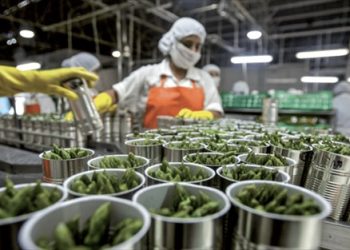 Côte d&rsquo;Ivoire : Croissance de 5,5 % de la Production Industrielle au 1er Semestre 2024