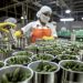 Côte d&rsquo;Ivoire : Croissance de 5,5 % de la Production Industrielle au 1er Semestre 2024