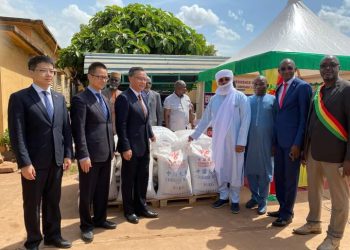 La Chine offre plus de 2000 tonnes de produits alimentaires au Mali