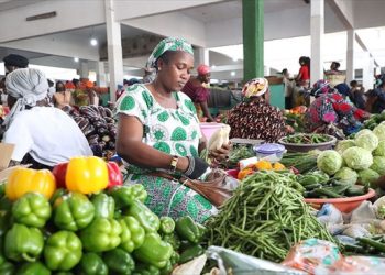 UEMOA : l’inflation s’établit à 4,4% en août 2024, stable depuis juin
