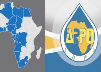 La Banque Africaine de l’Énergie : Une compétition intense pour le choix du pays hôte