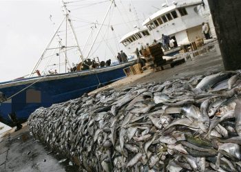 Sénégal : Pas de nouvel accord de pêche avec l’Union européenne