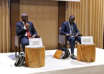 Mali : La BAD évalue 24 projets actifs pour 692,48 millions d’euros