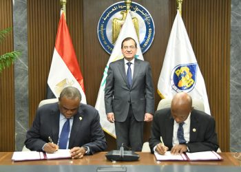 La Banque Africaine de l’Énergie : Une compétition intense pour le choix du pays hôte