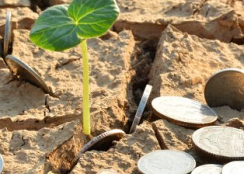 Afrique : 400 milliards USD par an nécessaires pour le climat, selon la BAD