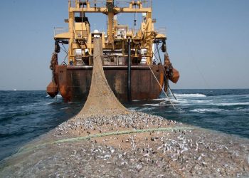 L’Union européenne met fin au protocole de pêche avec le Sénégal