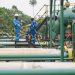 Seplat Energy : après une hausse de 147 %, une nouvelle année prometteuse en 2025 ?