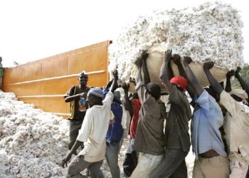 Les producteurs de coton d&rsquo;Afrique célèbrent les 20 ans de l’AProCA au Cameroun