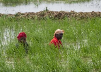 Bénin : La stratégie 2022-2026 de la BAD porte déjà ses fruits avec des avancées notables