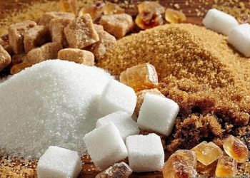 Sucrivoire renoue avec la rentabilité en 2024 grâce à une croissance de 28 % de ses recettes