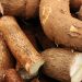 L’Afrique fournit plus de 65% de la production mondiale de manioc