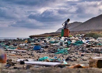 L&rsquo;IFC s&rsquo;associe au groupe Mohinani pour stimuler le recyclage et la fabrication de plastique en Afrique de l&rsquo;Ouest