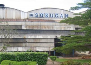 Sosucam : 22 milliards de FCFA de pertes en 2024, un avenir incertain pour le leader du sucre au Cameroun