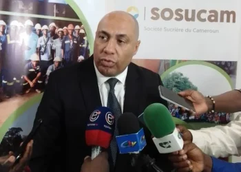 Sosucam : 970 hectares de plantations brûlés et cinq milliards FCFA de pertes après les émeutes