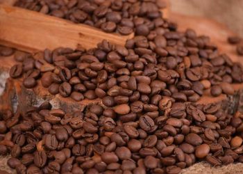 Les producteurs de café du Nigeria luttent contre la hausse des prix mondiaux