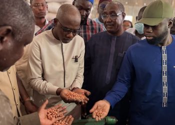 Digitalisation Agricole à Tivaouane : 50 000 Producteurs Enrôlés