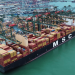 MSC : Révolution du Commerce en Afrique de l’Ouest