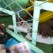 Microfinance au Sénégal : un taux de crédits en souffrance de 8,4 %, presque trois fois la norme