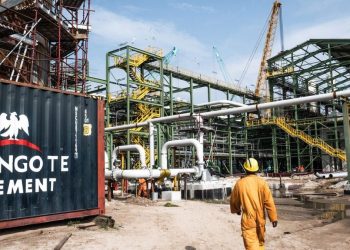 Dangote Cement affiche une hausse spectaculaire de ses bénéfices au premier semestre 2025