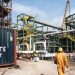 Dangote Cement affiche une hausse spectaculaire de ses bénéfices au premier semestre 2025