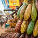 Ghana : la filière cacao face aux risques de la politique des prix