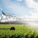 Agriculture régénératrice au Maroc : un modèle africain vers une agriculture durable