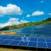 Énergie solaire : la nouvelle reine face aux biocarburants