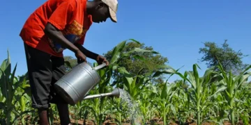 Sénégal : feuille de route 2026-2028 pour l’agriculture, l’environnement et les infrastructures