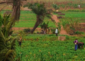 BAD et Invest in Africa : 850 000 $ pour créer des emplois verts inclusifs au Ghana et au Sénégal