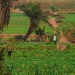 BAD et Invest in Africa : 850 000 $ pour créer des emplois verts inclusifs au Ghana et au Sénégal