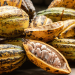 Ghana : le gouvernement augmente le prix du cacao à 5 040 $ la tonne pour la saison 2025/2026