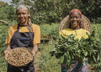 Sahel Capital obtient un investissement de 10 millions USD destinés aux PME agricoles en Afrique