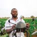 Agrotech au Nigeria : la révolution numérique qui booste l’agriculture