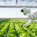 Innovations agricoles : 6 technologies qui transforment la gestion des exploitations