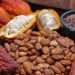 Cacao : le Ghana maintient les prêts syndiqués malgré une hausse record de 62 % du prix à la production