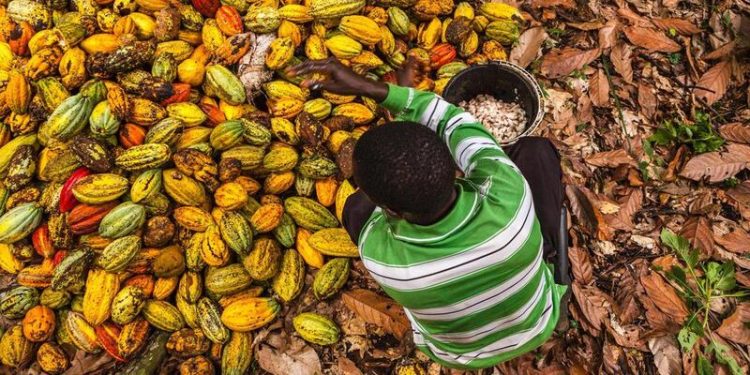 Côte d’Ivoire : protection des enfants dans le cacao grâce à un partenariat inédit
