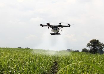 Togo : la CCI annonce la création d’un complexe Agri-Tech