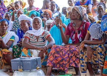 Genre au Togo : des progrès freinés par l’exécution économique