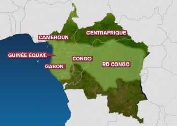 Marchés carbone : les pays du bassin du Congo tracent une feuille de route stratégique